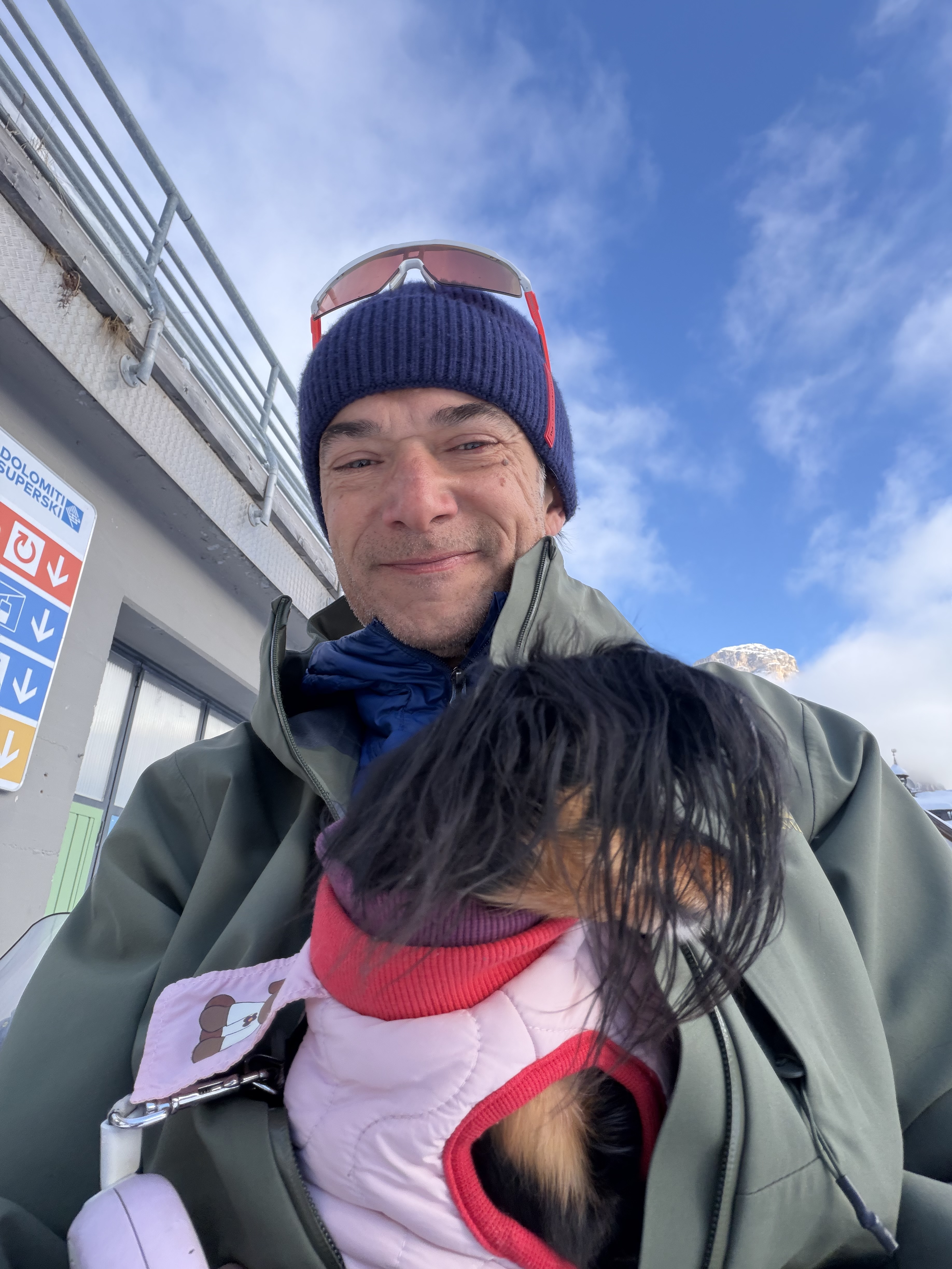 Dog Experience photo 1