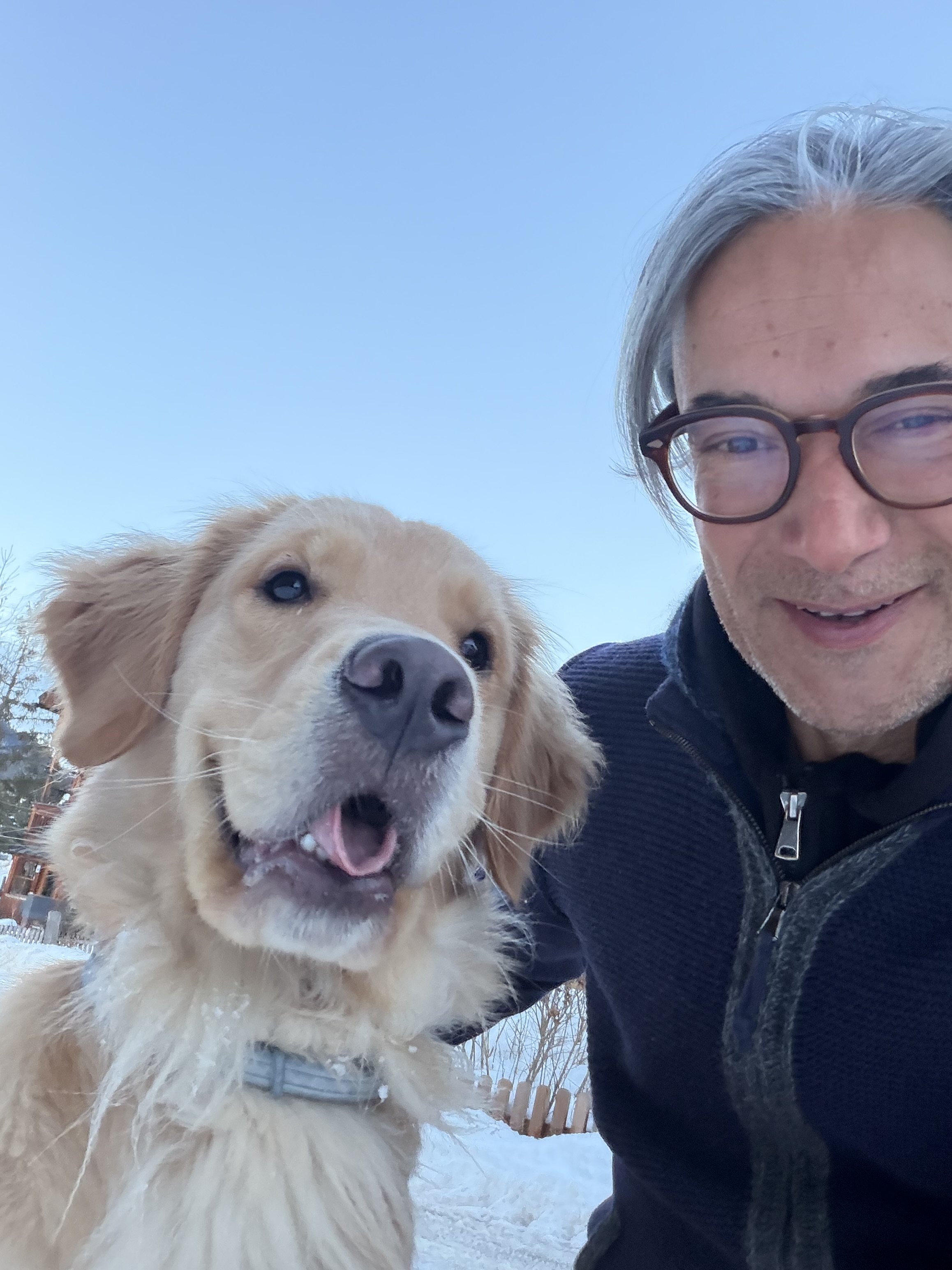 Dog Experience photo 2